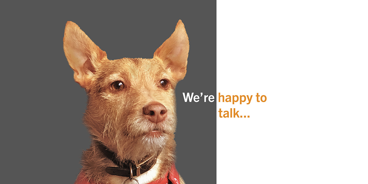 Dog with we're happy to talk tagline